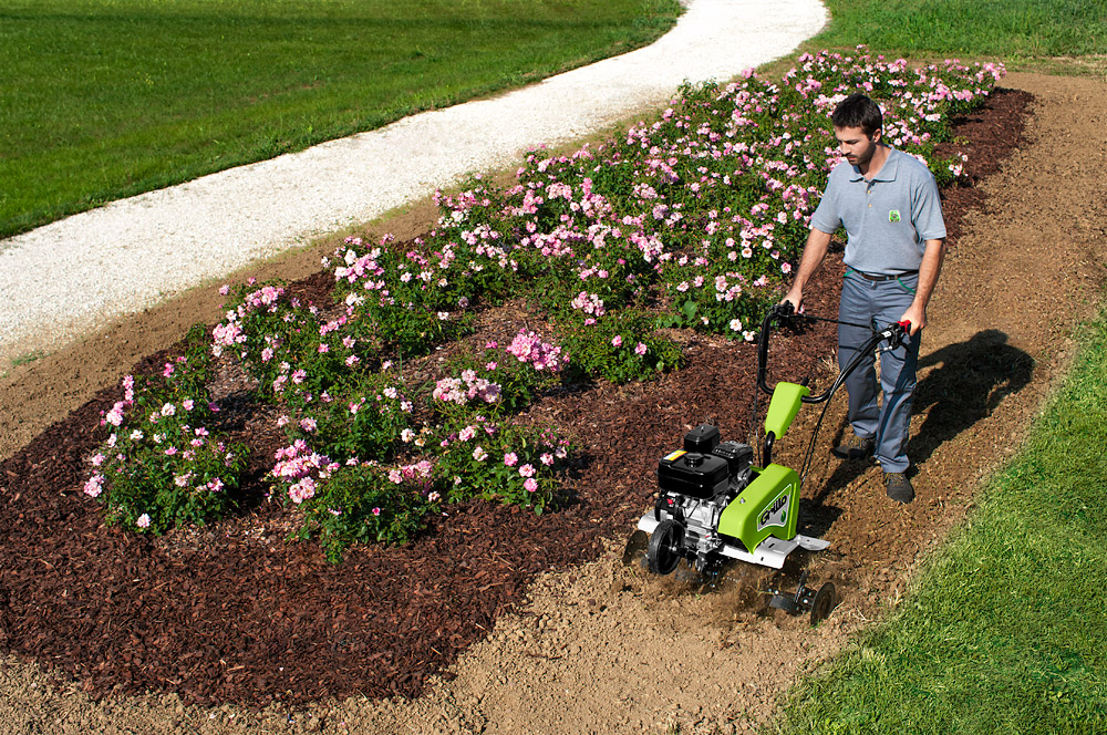 Grillo Princess MP3 Grillo Princess MP3