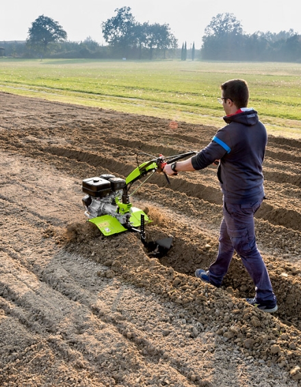 Grillo 11500